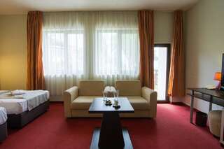 Отель Park Hotel Arbanassi Арбанаси Улучшенный двухместный номер с 2 отдельными кроватями-6